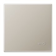 Wippe geprägtes Symbol Tür edelstahl ES 2990 TP 