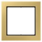 morepic-1