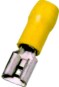 morepic-1