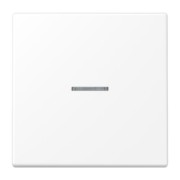 KNX RF Taster 1fach Duroplast lackiert LS 10911 ST WWM 
