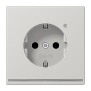 SCHUKO-Steckdose 16A 250V LED-Orient.licht ws LS 1520-O LG LNW 