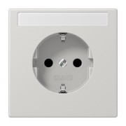 SCHUKO-Steckdose 16A 250V mit Schriftfeld LS 1520 NNA LG 