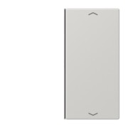 Taste 2-fach lgr Symbol Auf/Ab LS 402 TSAP LG 