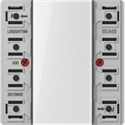 Tastsensor-Modul 2fach AC/DC24V 2-k. 4Sp. LS 5224 TSM 