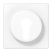 Abdeckung aws für Schlüsselschalt. LS 928 WW 