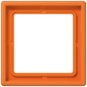 morepic-1