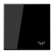 Wippe Symbol LICHT sw für Taster LS 990 L 