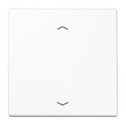 Wippe Symbole aws für Taster LS 990 P WW 