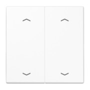 Wippe Symbole aws für Taster 2-fach LS 995 MP WW 