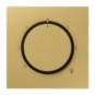 morepic-1