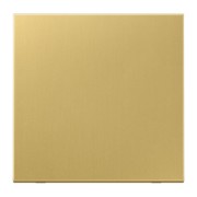 Wippe Mess/clas für Schalter/Taster ME 2990 C 