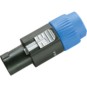 morepic-1
