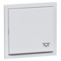 morepic-1