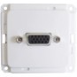 morepic-1