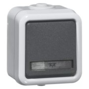 Taster IP44 D 656 WAB 