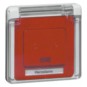 morepic-1
