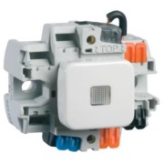 Taster-Einsatz alu guss 10A 250V Kontr.Licht D 356 ES GLK 