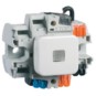morepic-1