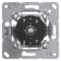 morepic-1