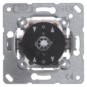 morepic-1