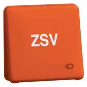 Steckdose D80.6611K ORANGE ZSV 