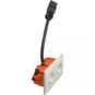 morepic-1