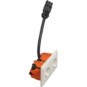 morepic-1
