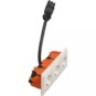 morepic-1