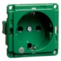 morepic-1