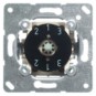 morepic-1