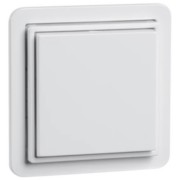 Wandsender rws 2 Kanal D 80.450.02 FU-BLS N 