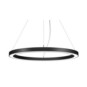 morepic-1