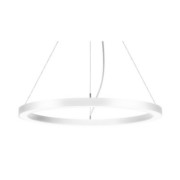 LED-Pendel-Ringleuchte DALI DT6 D75cm H35mm 13931173 