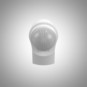 morepic-5