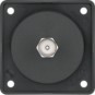 morepic-1