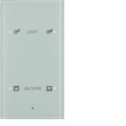 Glas-Sensor 2fach polarweiß 75142930 