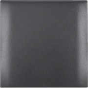 Rahmen 1f.anth mit Klappdeckel 918282505 