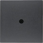 Zentralstück anth 10191606 
