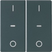Abdeckung Tastsensor-Modul 2-fach anthrazit 80962326 