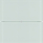 Tastsensor 2fach Glas polarweiß 75162090 