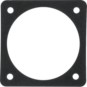 morepic-1