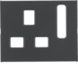 morepic-1