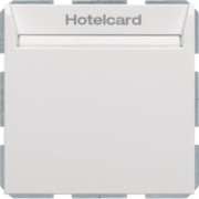 Relais-Schalter Hotelcard polarweiß matt 16409909 