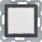 morepic-1