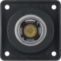 morepic-1