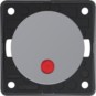 morepic-1