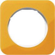 Rahmen 1-fach orange tr./polws glz 10112339 