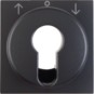 morepic-1