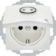 Schuko-Steckdose pws Symbol Steckdose 47441949 
