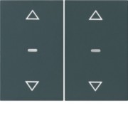 Abdeckung Tastsensor-Modul 2-fach anthrazit 80961375 